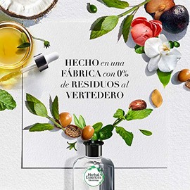 Herbal Essences Bíorenew Repair Argan Oil Of Morocco Shampoo, 400ml  Acondicionador BioRenew Argan Oil Of Morocco, 400 ml                             