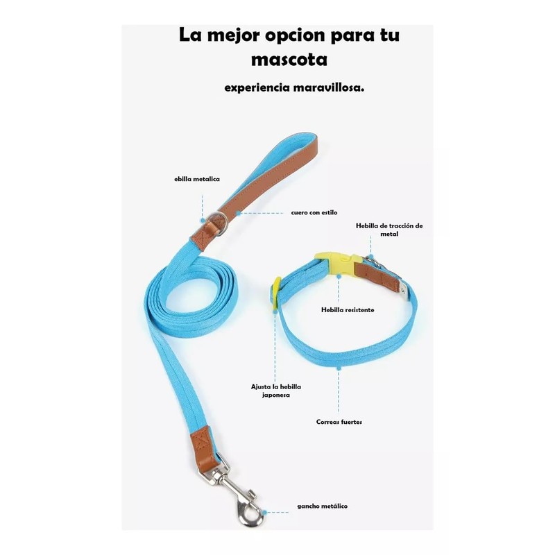 UNA MASCOTA Collar para Perros de Moda y Confort -