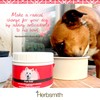 Herbsmith Pure Krill - Wild-Caught Antarctic Krill - Just 1
