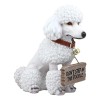 Realistic White French Poodle Dog Fifi Welcome Greeter Statue With