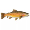 Black Diamond Art Brown Trout Sticker Fish Rainbow Cooler Boat