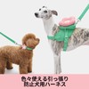 VETRESKA Betresca Flora Harness Lead Backpack Set (L)Dog Harness for