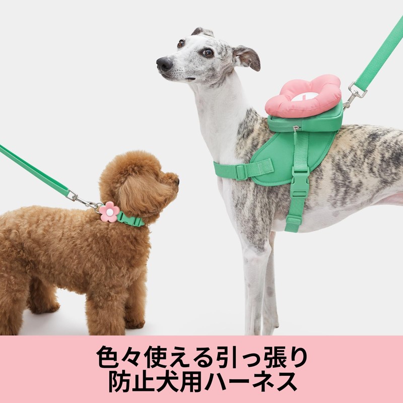 VETRESKA Betresca Flora Harness Lead Backpack Set (L)Dog Harness for
