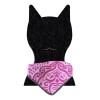 Collar Para Gato Con Paliacate Doble Vista