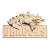 Anderson's 3D Molded Gold Dragons School Mascot Lapel Pin Pack,