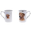 (BB50) Set of 2 Bone China BEAKERS/Mugs Rhodesian Ridgeback Dog