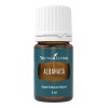 Young Living Aceite Esencial De Albahaca, 5ml