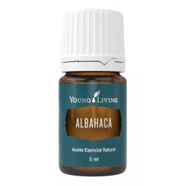 Young Living Aceite Esencial De Albahaca, 5ml