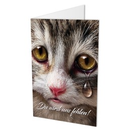 Colleagues Cat A4 Leaving Card with Envelope, Snap Leave of Colleagues or colleague, Verabschiedung, Retirement Card –