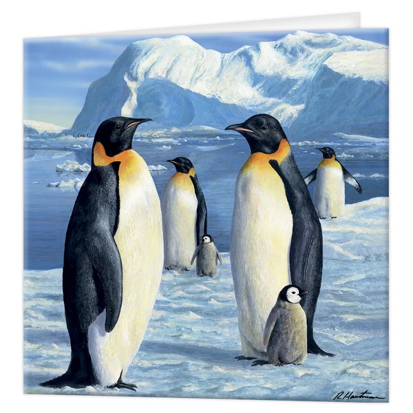 Deluxebase 3D LiveLife Greeting Card - Antarctic Majesty Colourful Penguin