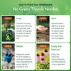 Created By Nature Florida Wildflower Seed Mix, 18 Flower Varieties,