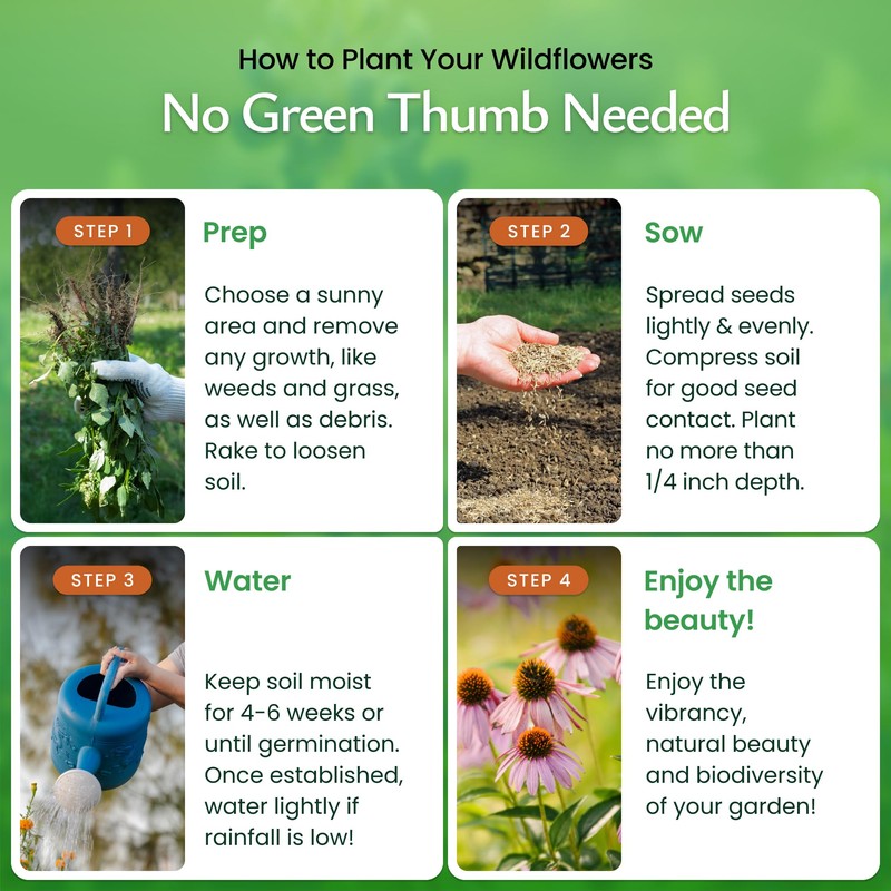 Created By Nature Florida Wildflower Seed Mix, 18 Flower Varieties,