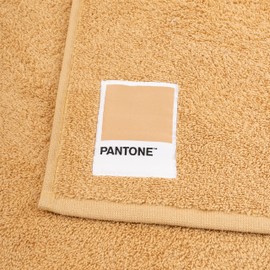 SWEET HOME Pantone™ Hand Towels Set 1+1 Consisting of Guest Towels 40 x 50 cm + Face 50 x 100 cm, Oeko Tex Certified, Beige