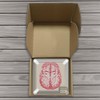 Timethink (Set of 10) 4'' 3D Brain Specimen Coasters, Funny