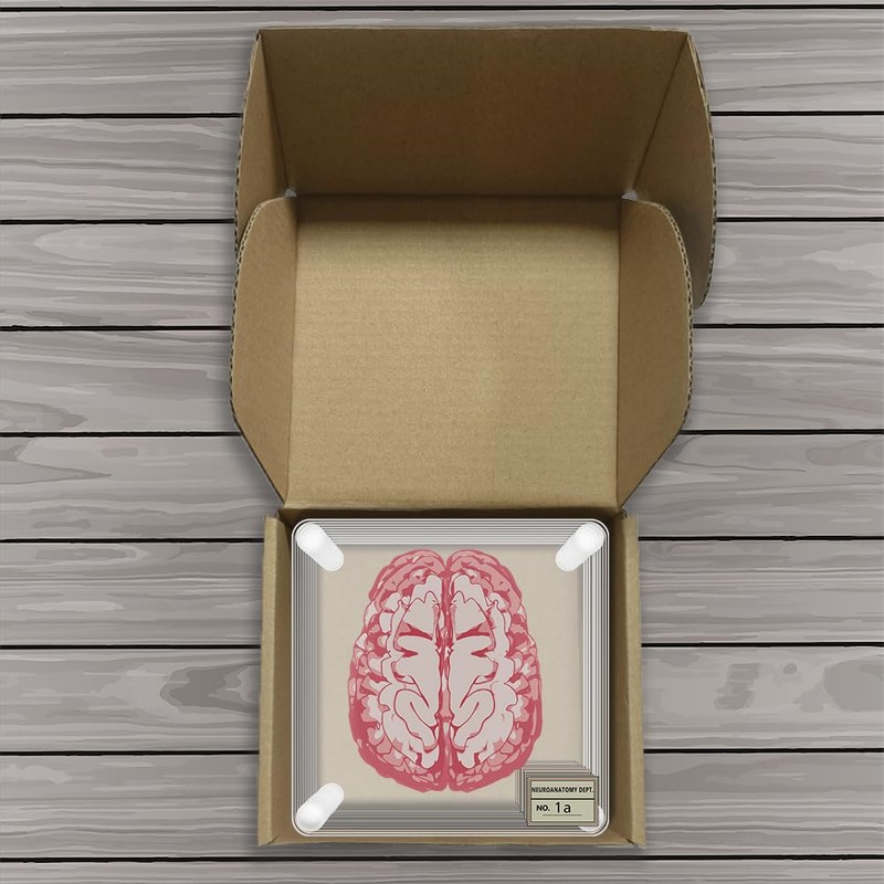 Timethink (Set of 10) 4'' 3D Brain Specimen Coasters, Funny