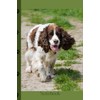Springer Spaniel Notebook with 120 Lined Pages.: Dog Lovers Notepad.