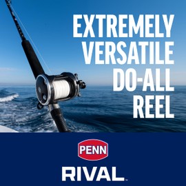 PENN Rival Level Wind Conventional Inshore/Nearshore Fishing Reel, HT-100 Star Drag, Max of 15lb | 6.8kg, Forged and Machined Aluminum Spool,Black/Silver