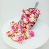 Arcor Strawberry Filled Fruit Bon Bons 2 pounds bulk strawberry