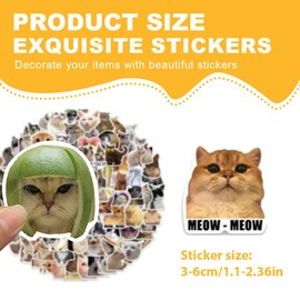 HAMKU 100 Stück meme sticker cute stickers lustige sticker Lustiges Katzen Aufkleber Set Wasserfeste Katzen Meme Sticker für Laptop Mobiltelefone Skateboard Gepäck etc