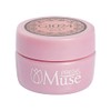 PREGEL Muse PGU-G1024 Color Gel Relaxing Pink, 0.1 oz (3