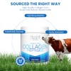 Collagen Laborés Llc Péptidos Colágeno Hidrolizado Polco 560 Grs