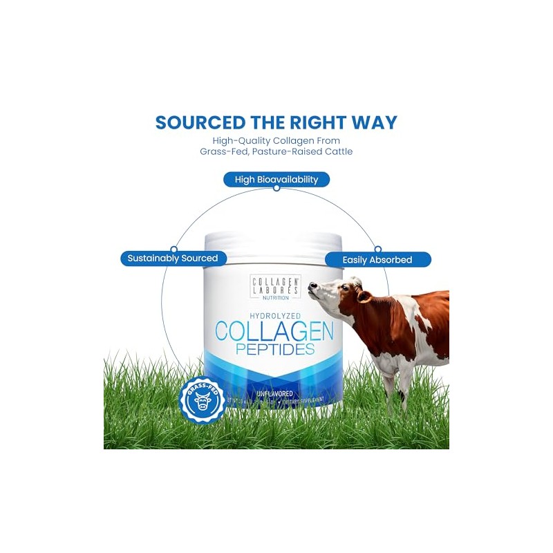 Collagen Laborés Llc Péptidos Colágeno Hidrolizado Polco 560 Grs
