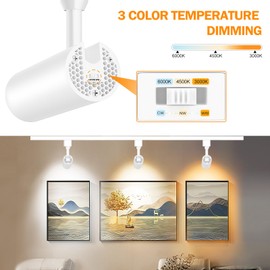 OTeedo 3 Pack LED Track Lighting Heads 10W Dimmable H Type Track Light fixtures 3000K-4500K-6000K Track Fixtures Ceiling Spotlight 24°Angle for Art Accent Lighting Flicker Free CRI90+ 1000lm White