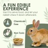 Planet Pantry Disposable Palm Leaf Rabbit Bowls - Bunny Chew