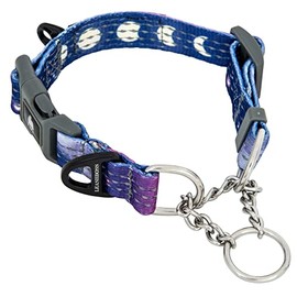 Leashboss Chain Martingale Patterned Reflective Dog Collar, Pattern Collection, Stainless Steel Chain, No Pull Training Collar (Small 12"-14.5" Neck x 3/4" Wide, Space Pattern)