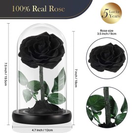 Preserved Flowers Roses in Glass Dome, Real Roses That Last 5 Years, Forever Flowers for Delivery Tomorrow, Mothers Gifts for Her, Wife Anniversary Birthday Gifts for Women, Black (7.68 Inch)