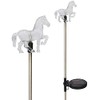 JAYXC HOME Set of 2 Clear Acrylic Horse Solar Garden