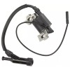Unbranded Ignition coil For Harbor Freight Predator 60340 60349 69736