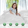 LBRO2M 100% Viscose Derived from Bamboo Bed Sheet 4 Piece