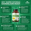 Zazzee USDA Organic Dandelion Root 10:1 Extract, 3000 mg Strength,