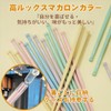 2 Piece Chopsticks Set, Bento Chopsticks, Storage Case Included, Convenient,