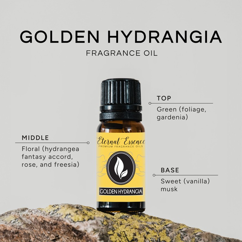 Golden Hydrangea Premium Grade Fragrance Oil - 10ml - Scented