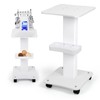 3 Tier Trolley Cart with Wheels - Esthetician Cart for