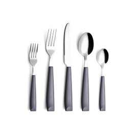 ANNOVA Silverware Set Stainless Steel Colorful Handle Tableware Kitchen Flatware Set Utensils, Includes Dinner Knives, Forks, Spoons, Salad Forks & Dessert Spoons (Gray, 20 Pieces)