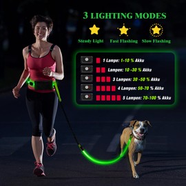 LED Hands Free Dog Leash, Waist Leash for Dog Walking, Retractable Bungee Light Up Dog Leash, LED Handless Dog Running Leash, Reflective Running Leash for Jogging Training Hiking (Green)