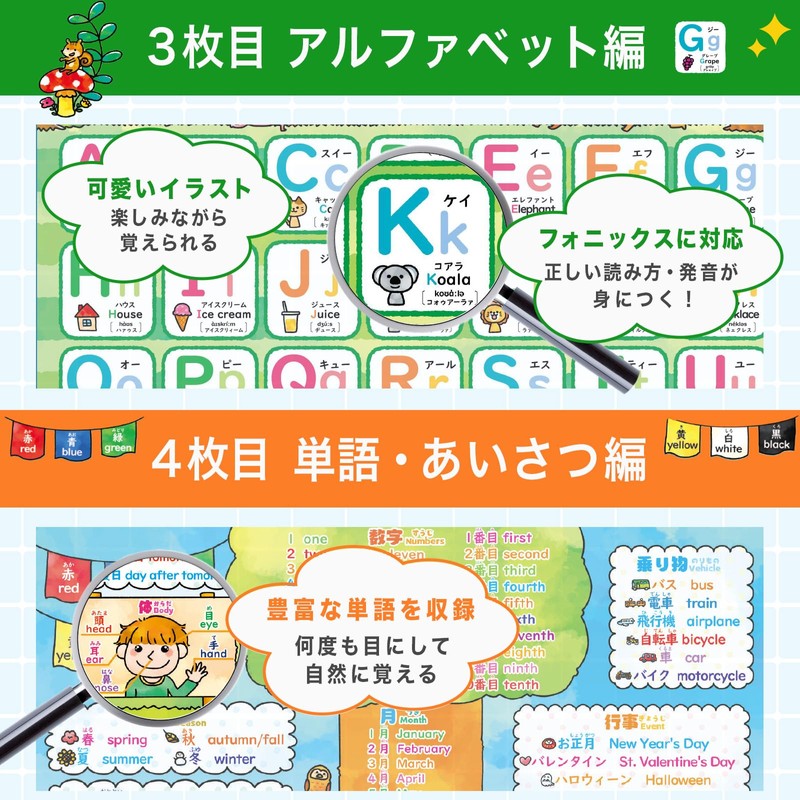 Dr. Routine's Learning Cram School Bath Poster Hiragana Katakana Aiueo