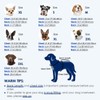 Breathable Dog Thunder Jacket Anxiety Calming Vest with Head Wrap,