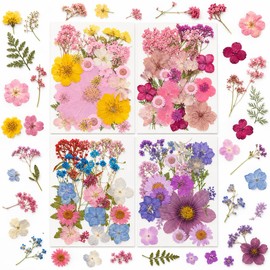 100 Stück Set di Fiori Essiccati – Fiori Pressati & Fiori Secchi Veri, Naturali per Fai Da Te, Resina DIY, Gioielli, Candele, Saponi, Scrapbooking, Carte & Decorazioni, Colorati Misti