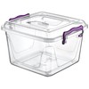 Hobby Life 6 Litre Plastic Pantry Box, Transparent