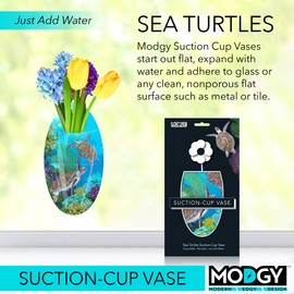 MODGY Suction Cup Expandable Flower Vase Plastic Decorative Modern Window Wall Decor Vases for Flowers, Kitchen, Living Room, Bathroom, Office, 1 Per Sleeve, Sea Turtles