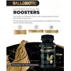 VITOFARMA Gallobiotic Natural Multivitamin for Rooster, Hens - 100 Tablets