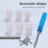 faruijie Detachable Teeth for Typodont - 32 PCS Removable Teeth