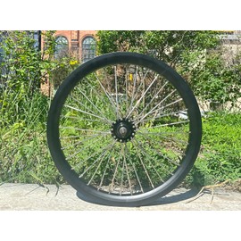20 inch Heavy Duty Bicycle Front Wheel Rim 10 Gauge 36 Spokes, Double Wall Aluminum Alloy Cycling Wheel, 20" Bike Front Rim 520g (Black) Disc Brake