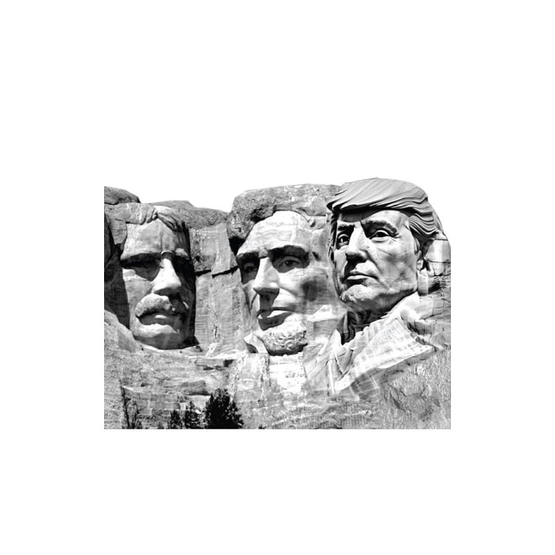 LEMONSODA Trump Mount Rushmore Building Cardboard Cutout Life Size, 6