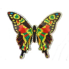 Clark Collection CC52071 Large Multi Colored Butterfly Door Screen Saver