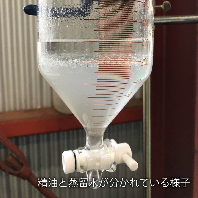 柚子 Water yuzu Water 500ml [Skin Care Product]